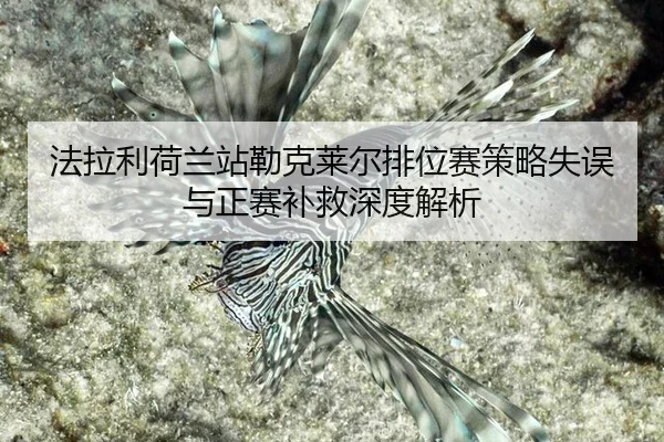 fa-la-li-he-lan-zhan-lei-ke-lai-er-pai-wei-sai-ce-lve-shi-wu-yu-zheng-sai-bu-jiu-shen-du-jie-xi-2-662.jpg