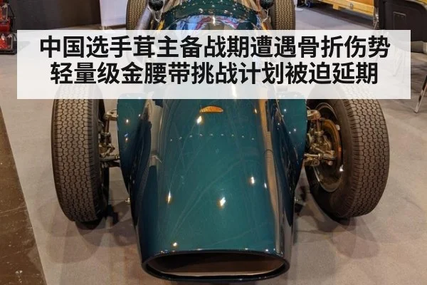 中国选手茸主备战期遭遇骨折伤势 轻量级金腰带挑战计划被迫延期
